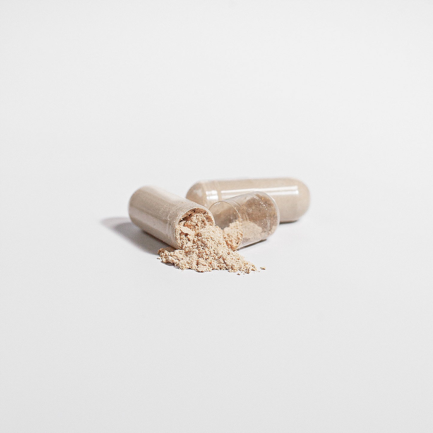 Lion's Mane Mushroom - Brain Health & Cognitive Enhancement