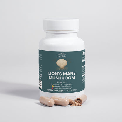 Lion's Mane Mushroom - Brain Health & Cognitive Enhancement